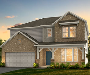 3D Elevation Rendering
