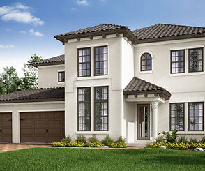 3D Elevation Rendering