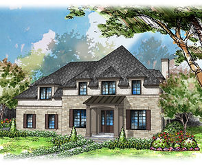 Elevation Rendering