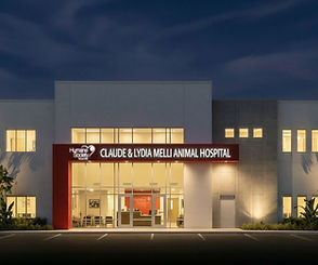 TB Animal Hosp Elevation 3D Nighttime Rendering